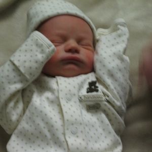 Meet your Posher, Annette